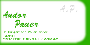 andor pauer business card